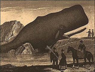 20120522-sperm whale Encyclopedic_Dictionary.jpg